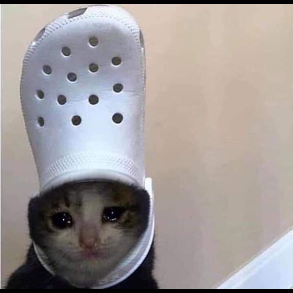 Meet your Posher, Briana